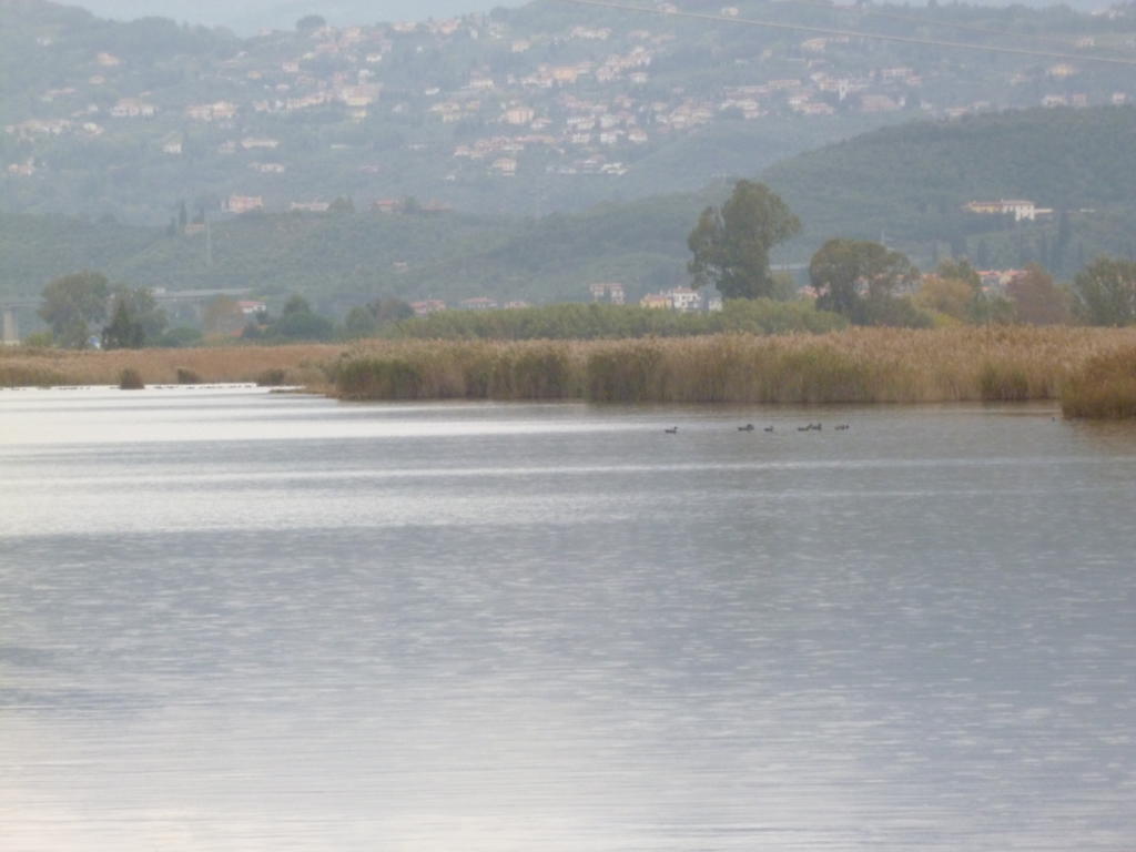 מסרוסה Le Ginestre B & B מראה חיצוני תמונה